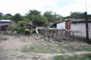 Dateiname=Mex130.JPG
Dateigröße=441KB
Abmessungen: 1024x682
hinzugefügt am: 28. Dezember 2018 Mex130.JPG