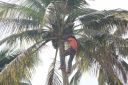 Dateiname=Mex202.JPG
Dateigröße=693KB
Abmessungen: 1024x682
hinzugefügt am: 28. Dezember 2018 Mex202.JPG