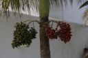 Dateiname=Mex207.JPG
Dateigröße=348KB
Abmessungen: 1024x682
hinzugefügt am: 28. Dezember 2018 Mex207.JPG